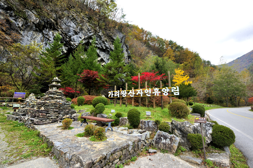 정선 가리왕산 자연휴양림 위치 숙박 요금 예약 숲속의집 날씨 정보