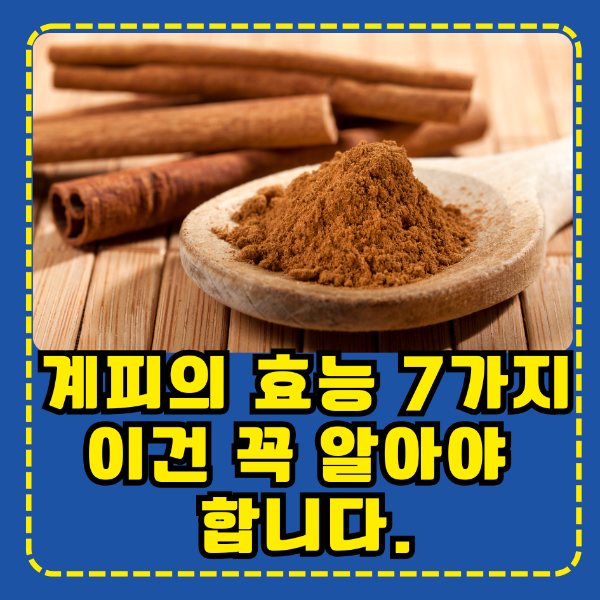 계피의 효능