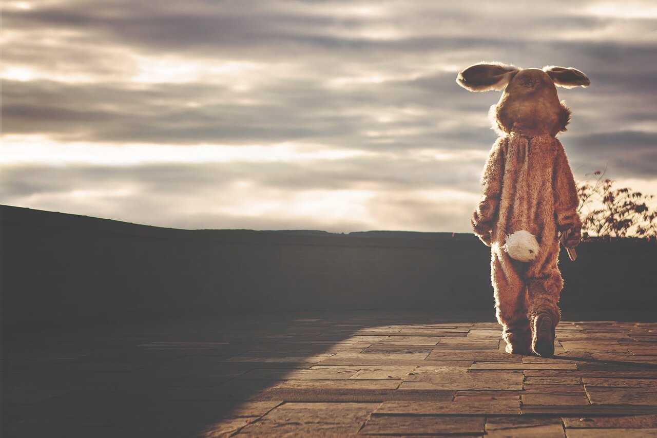 🐇 2025년8월토끼띠운세