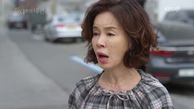 [드라마 다시보기] 하나뿐인 내편 정주행 전편