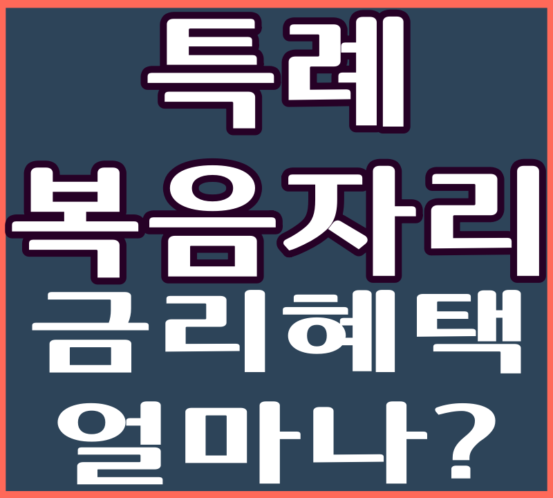 특례보금자리