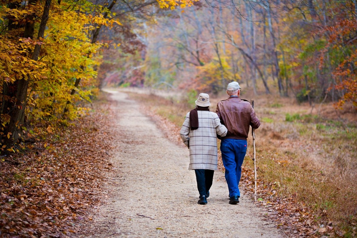 중장년은퇴설계