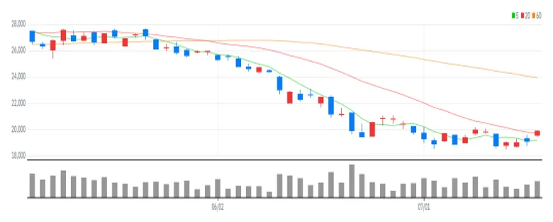 테스 차트