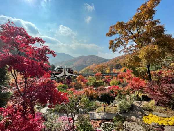화담숲 단풍