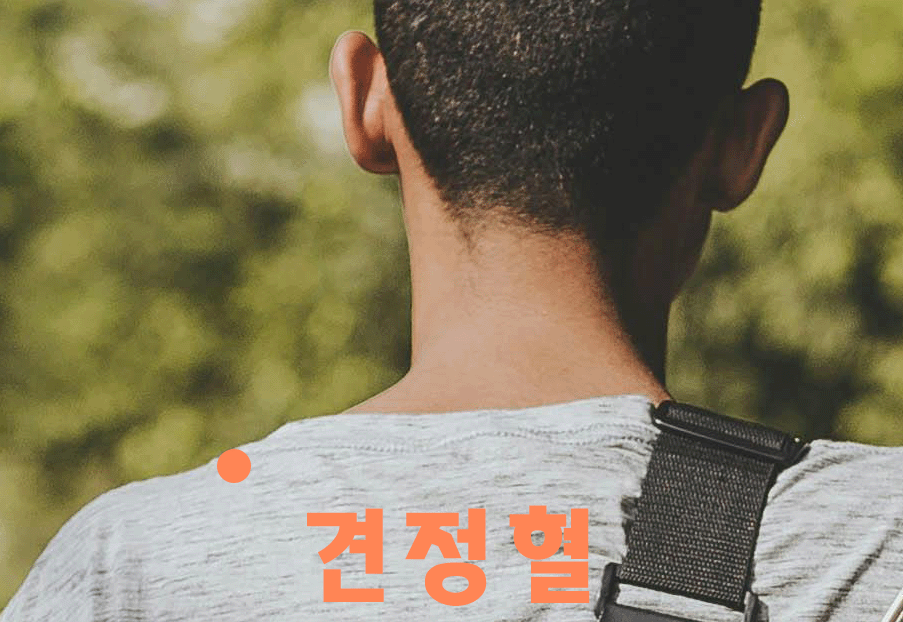 두통 손지압 방법 견정혈