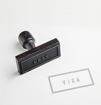 비자