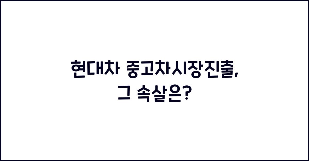 현대차 중고차시장진출