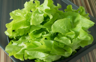 상추겉절이양념