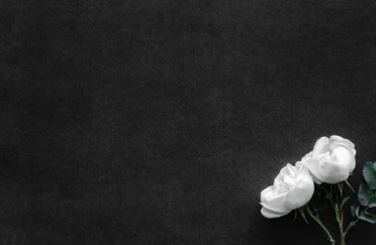 프리드라이프 상조