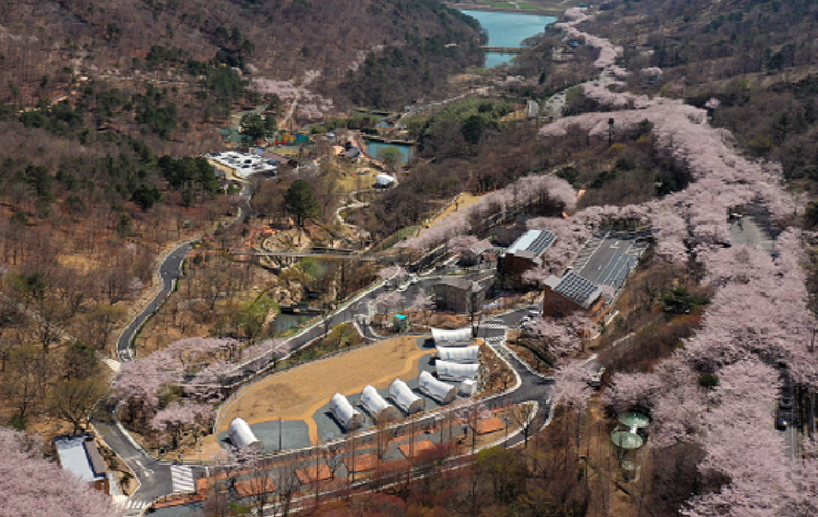 월아산 숲속의 진주