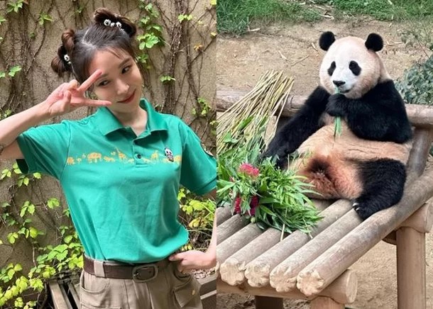 푸바오 중국 귀환