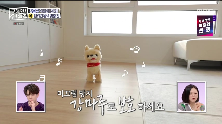 구해줘홈즈 댕댕하우스 동물병원 인접 서울시 광진구 중곡동 전세 매매 매물 가격 및 구조 인테리어 리모델링 최종선택 더보이즈 영훈 현재 소개