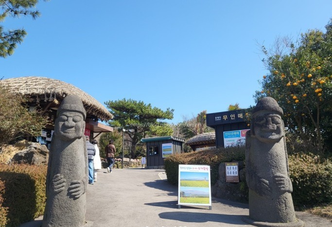 제주도 가볼 만한 곳 10곳