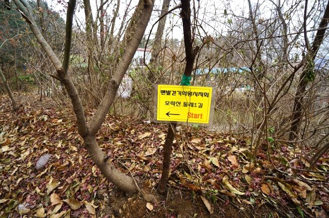 왼발길걷기 의왕시 지회에서 코팅지에 써붙인 모락산둘레길 안내 화살표, 노란바탕에 검은글씨, 뒤로는 낙엽쌓인 슾속,