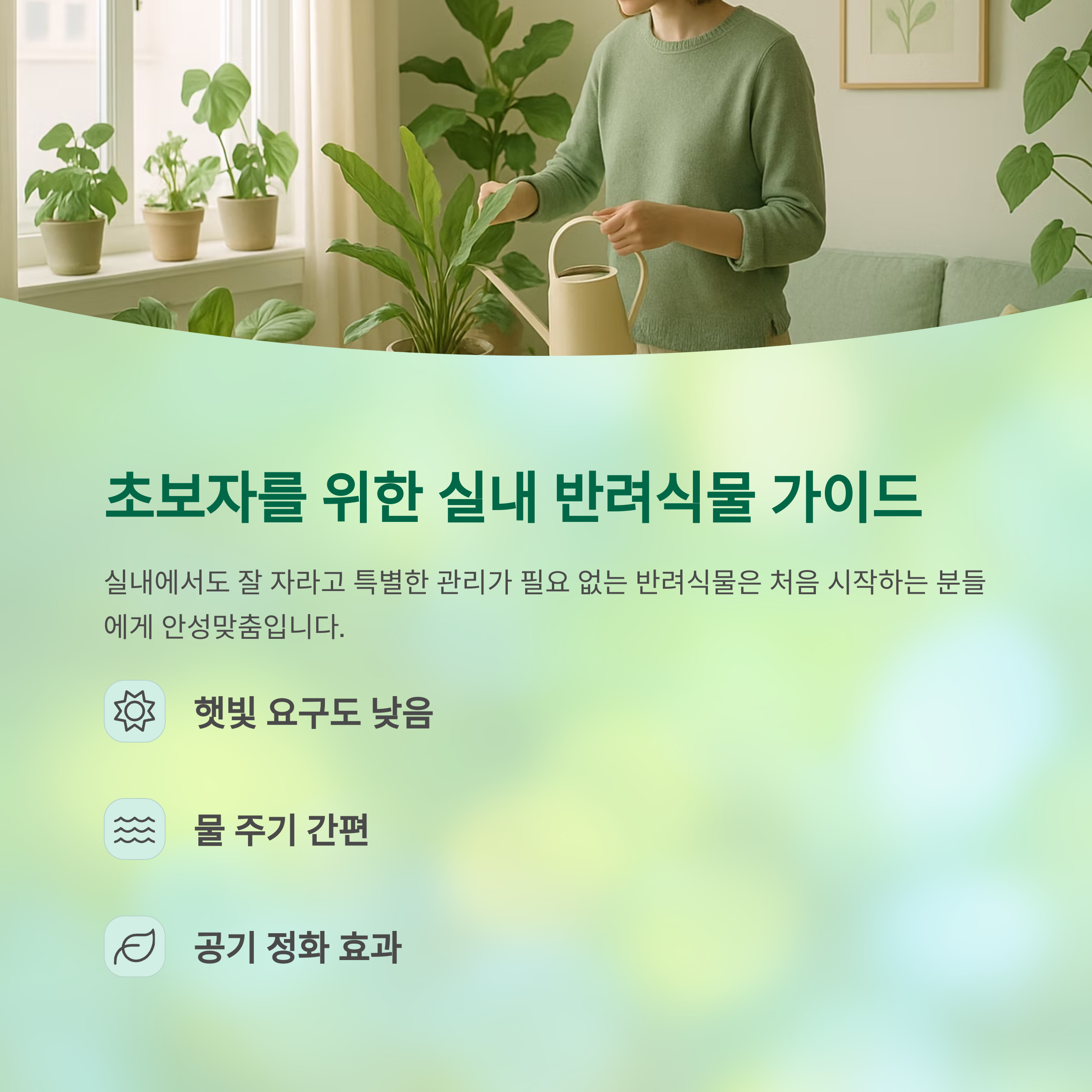 초보자를 위한 실내 반려식물 가이드