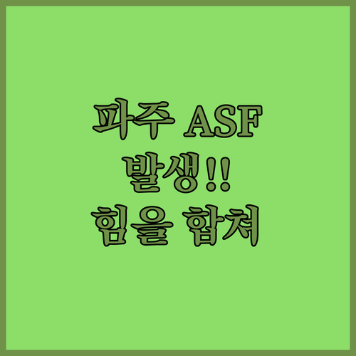 파주 ASF 발생! 정부, 농가, 우..