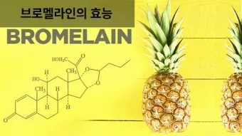 브로멜라인아이 정의 효능 섭취방법 주의사항_3