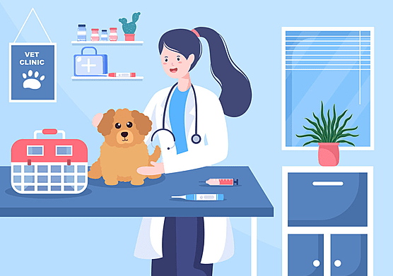 민생지원금 동물병원 가능할까? 사용처 기준 반려동물 관련 업종 총정리3