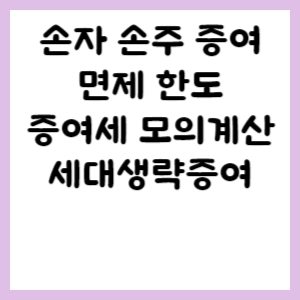 손자 손주 증여