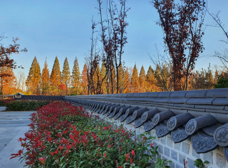 경북천년숲정원