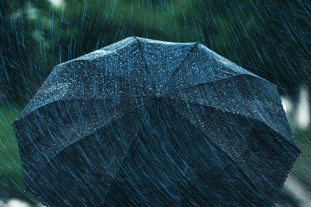  장마 예상 기간 2025년 