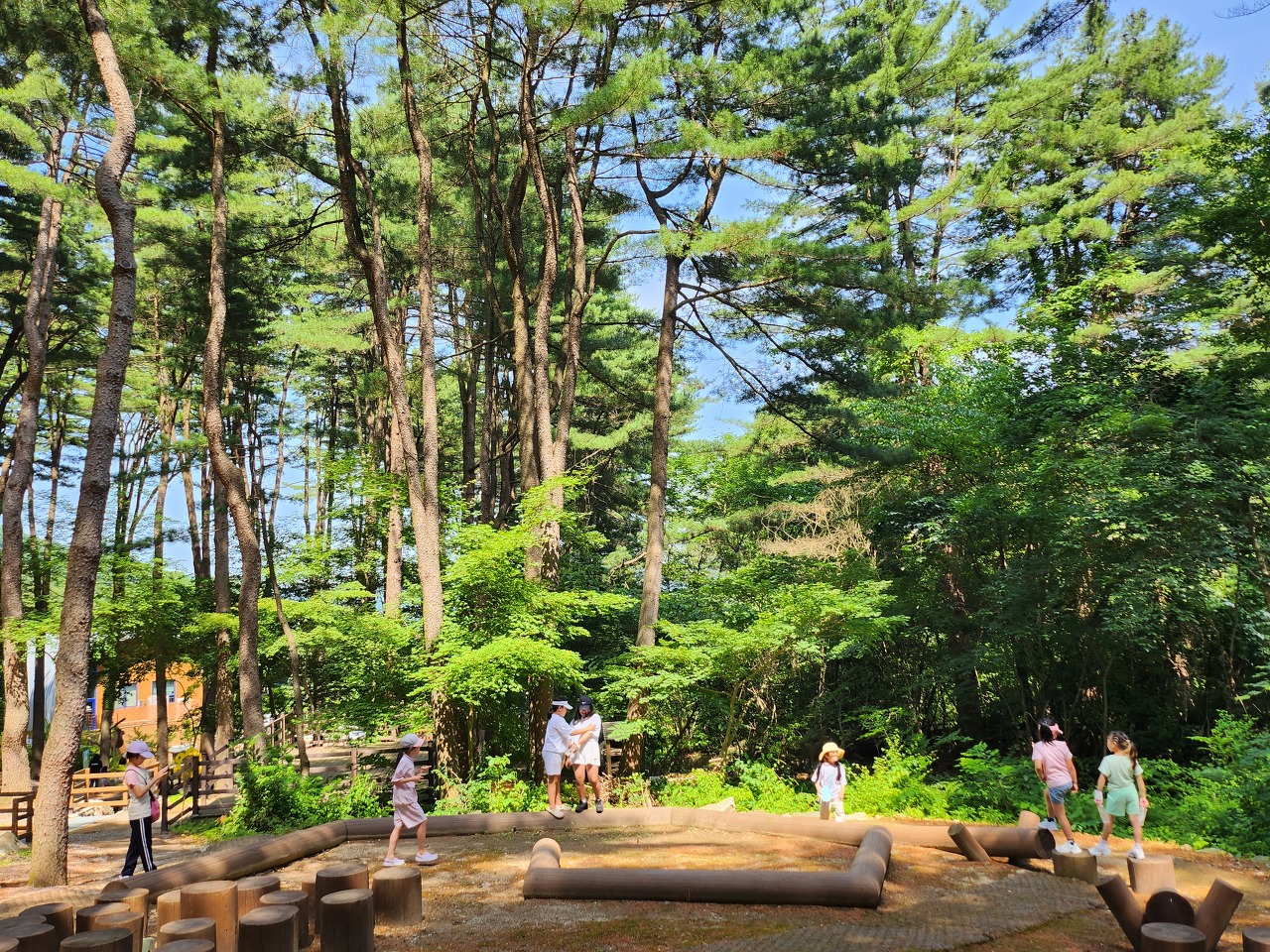 숲의 약속