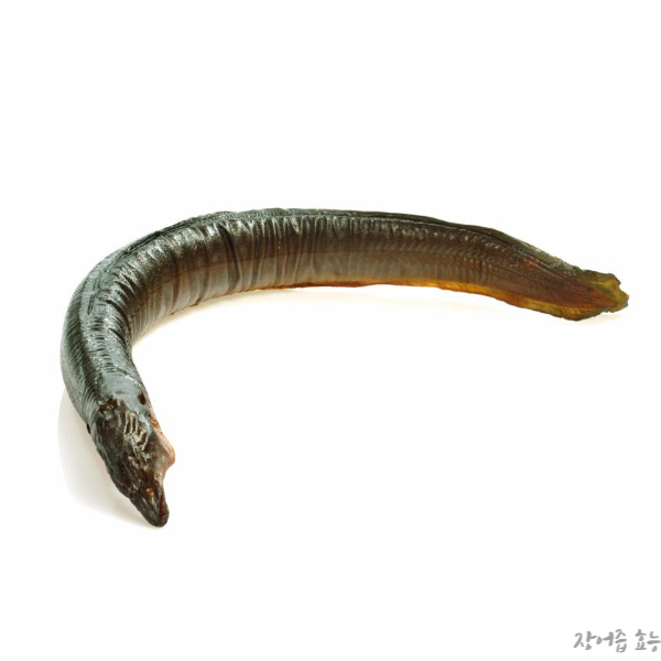 장어즙 효능 알아보고 드세요!