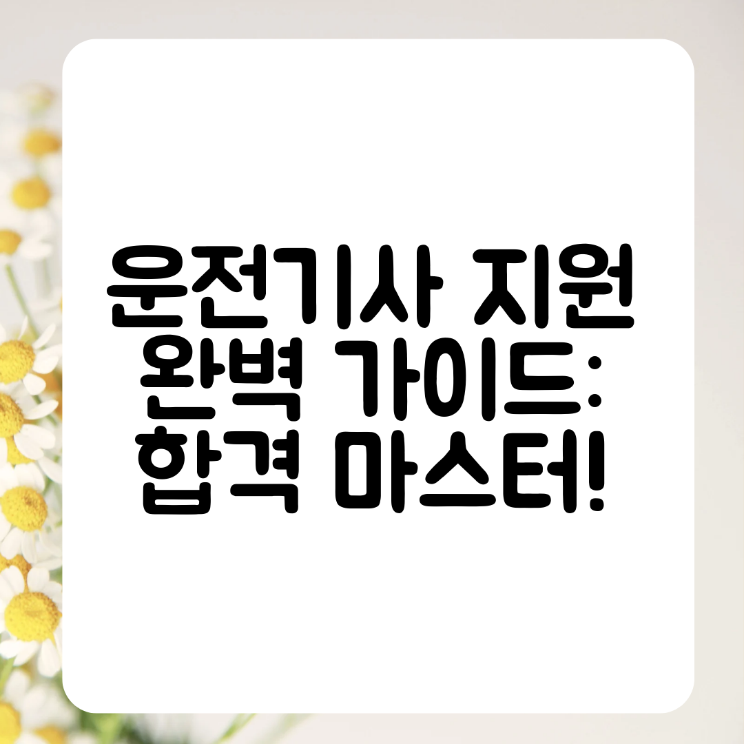 운전기사 지원 완벽 가이드 합격 마스터!