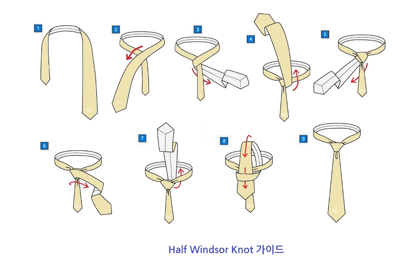 하프 윈저 매듭 (Half Windsor Knot) 순서