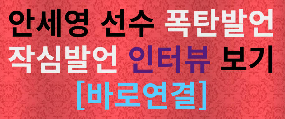 안세영 선수 배드민턴 협회 문제 갈등 불화 인터뷰