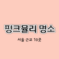 서울-핑크뮬리