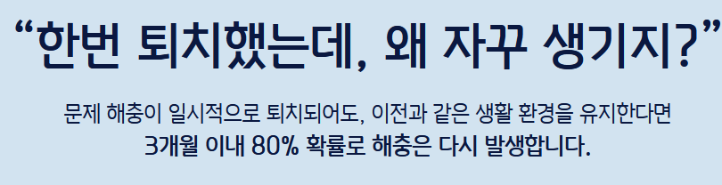 세스코 가정집 가격