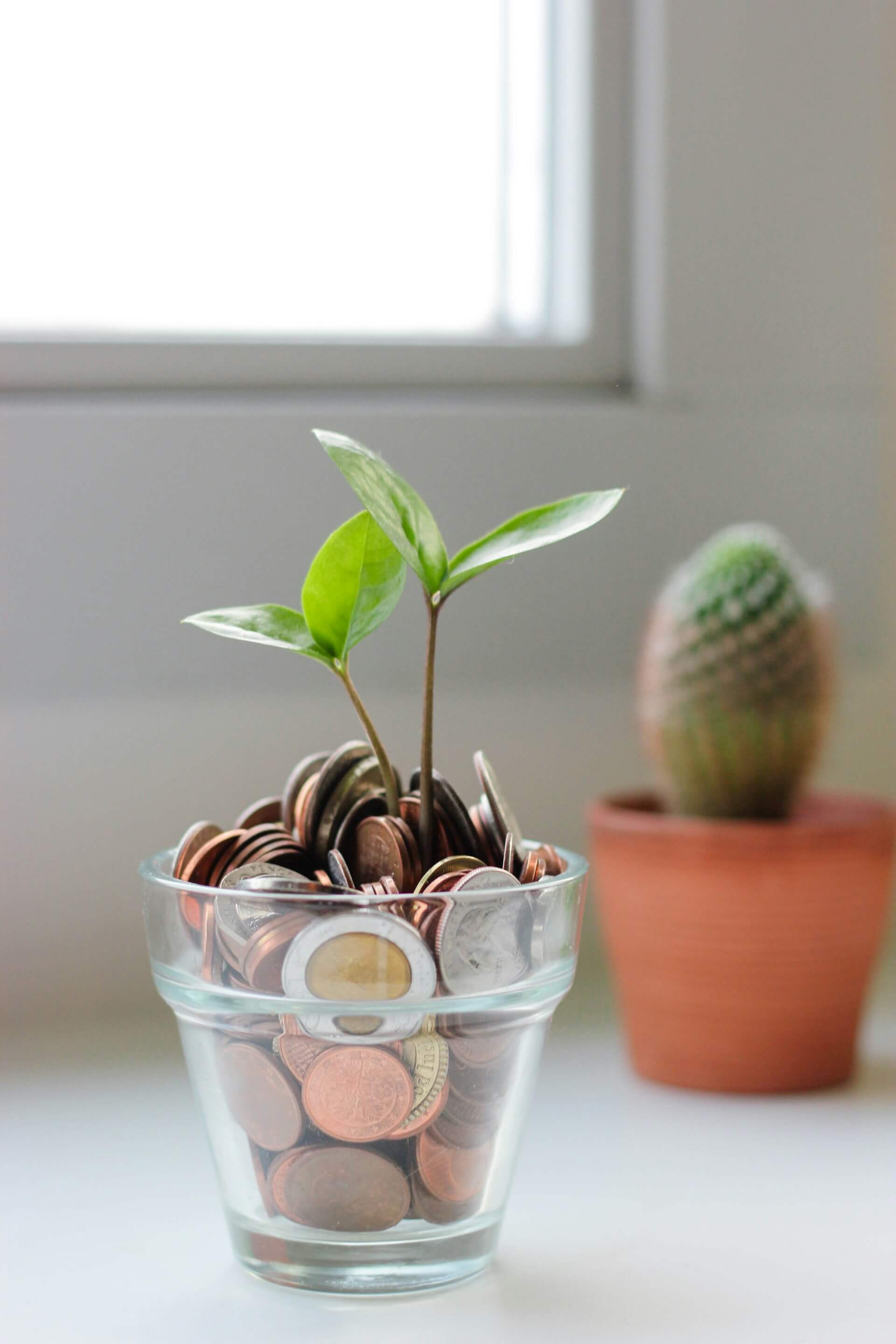 대전 교통비 지원 신청법