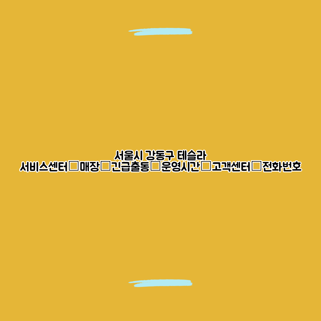 서울시 강동구 테슬라 서비스센터│매장│긴급출동│운영시간│고객센터│전화번호