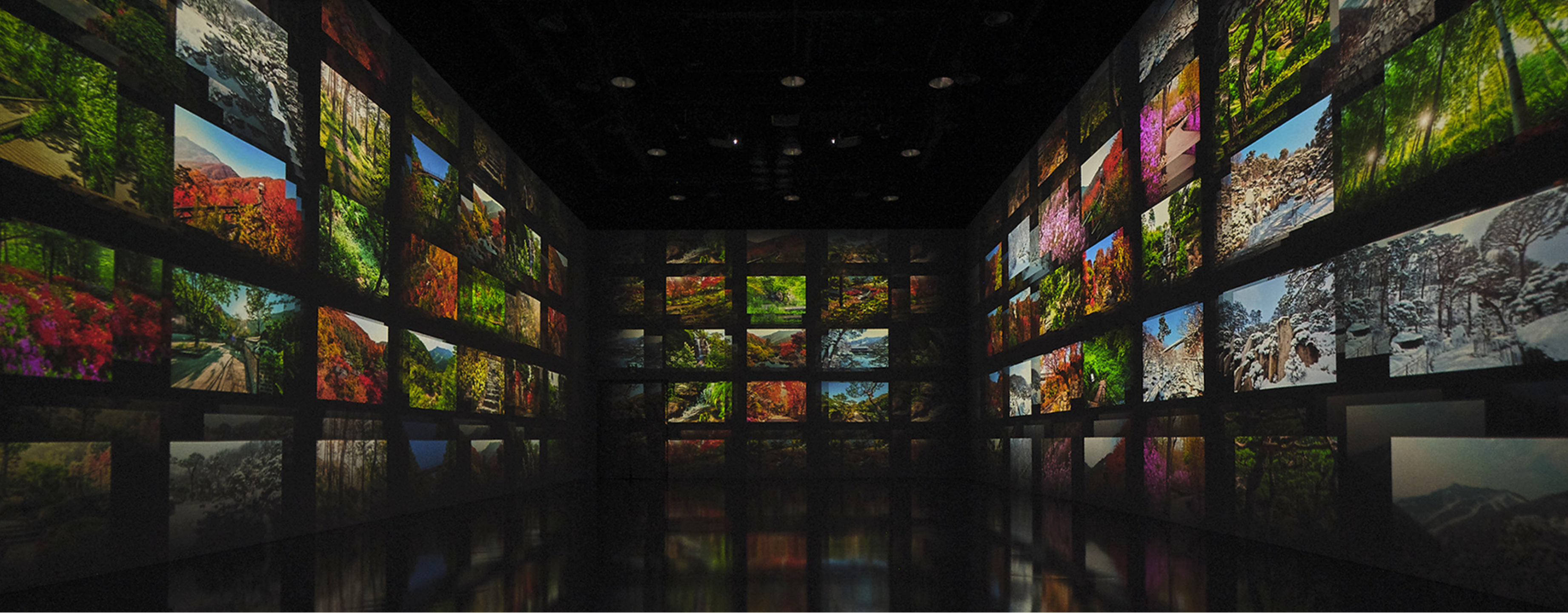 화담숲 예약 2025 완벽 가이드: 꿀팁 대방출! (feat. 주차, 코스, 맛집, 후기)