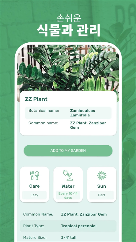 Blossom - 식물 식별