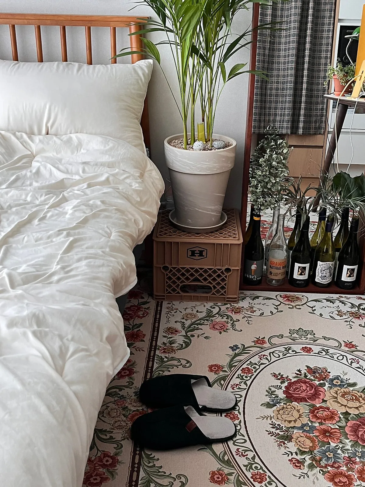 북향집 식물 선택 저조도관리 물주기 식물등 활용 방법_6