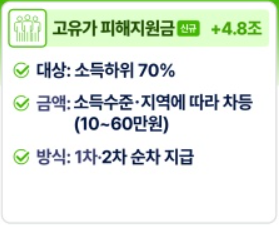 민생지원금 신청