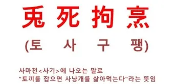 토사구팽 뜻과 5가지 상황별 해석 정리_13