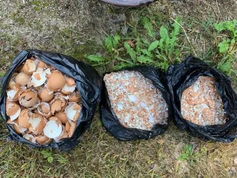 계란껍질 분말 토양개선 칼슘보충 사용요령 초보도 따라하기_34