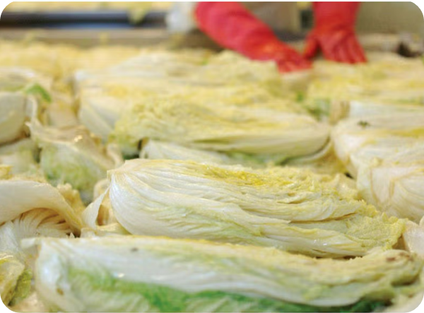 괴산 절임배추 이미지/출처: 이마트몰 SSG홈페이지