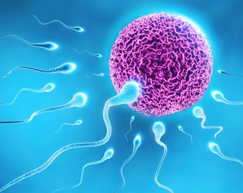 시알리스, 팔팔정, 무정자증 가능성 있다는 거 아시나요?