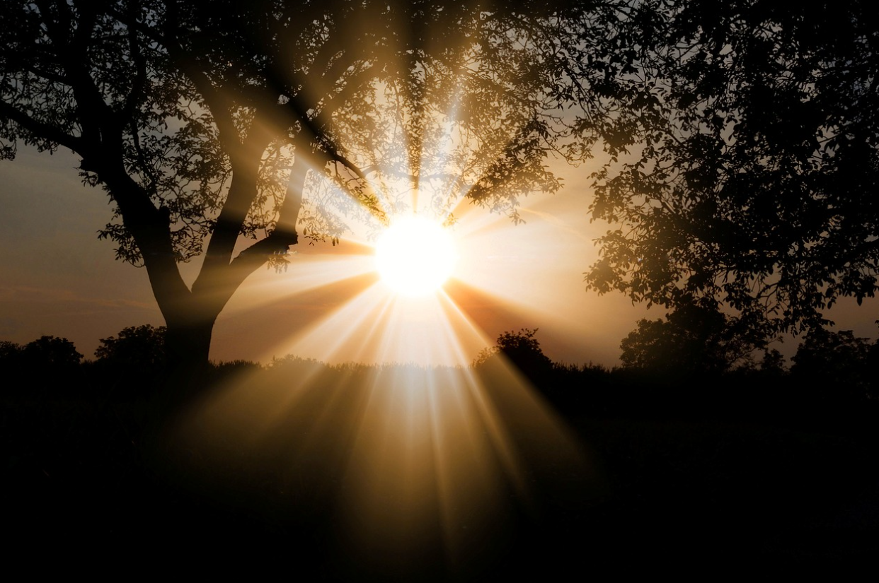 필수 영양제 비타민D