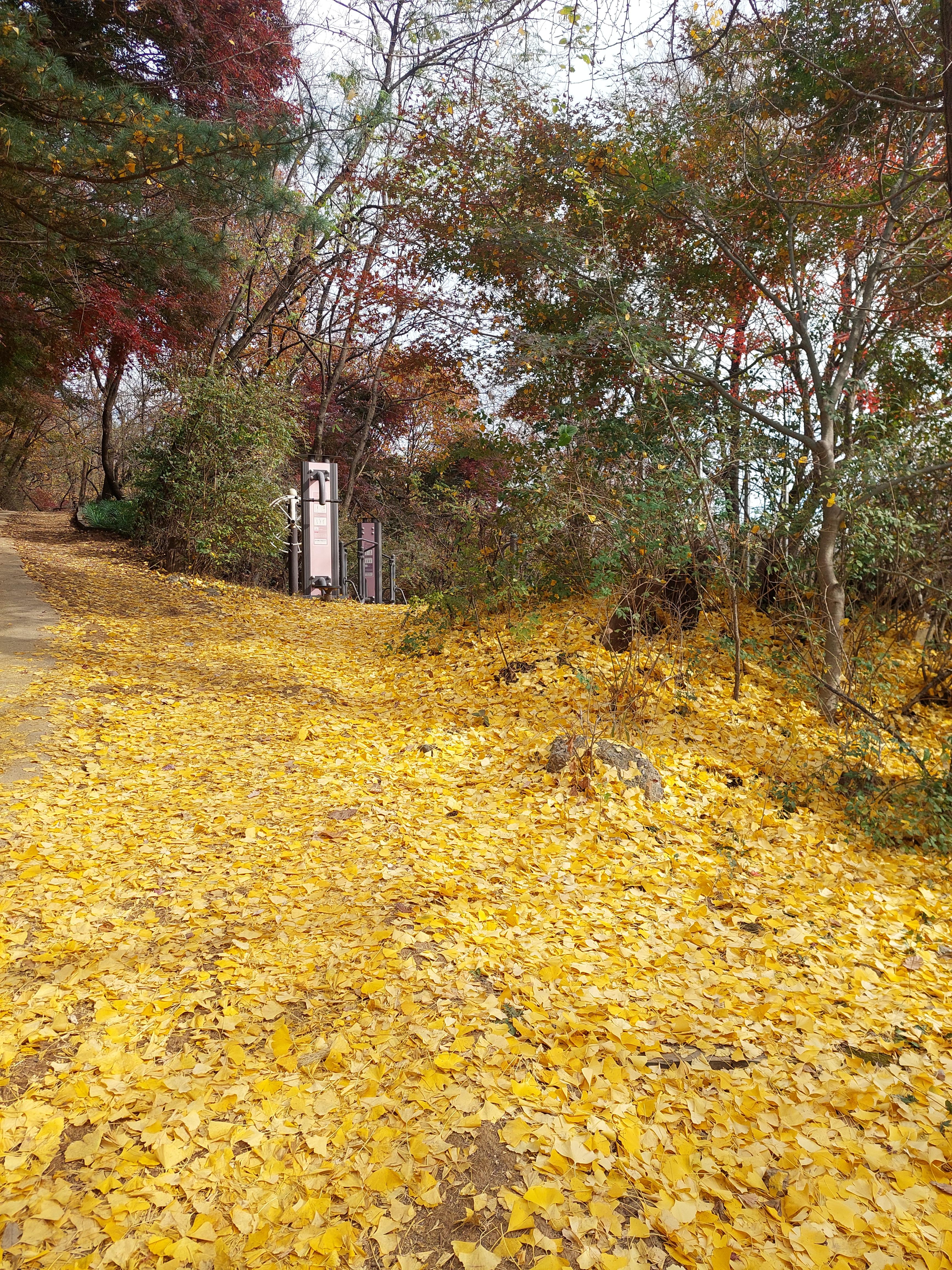 안산