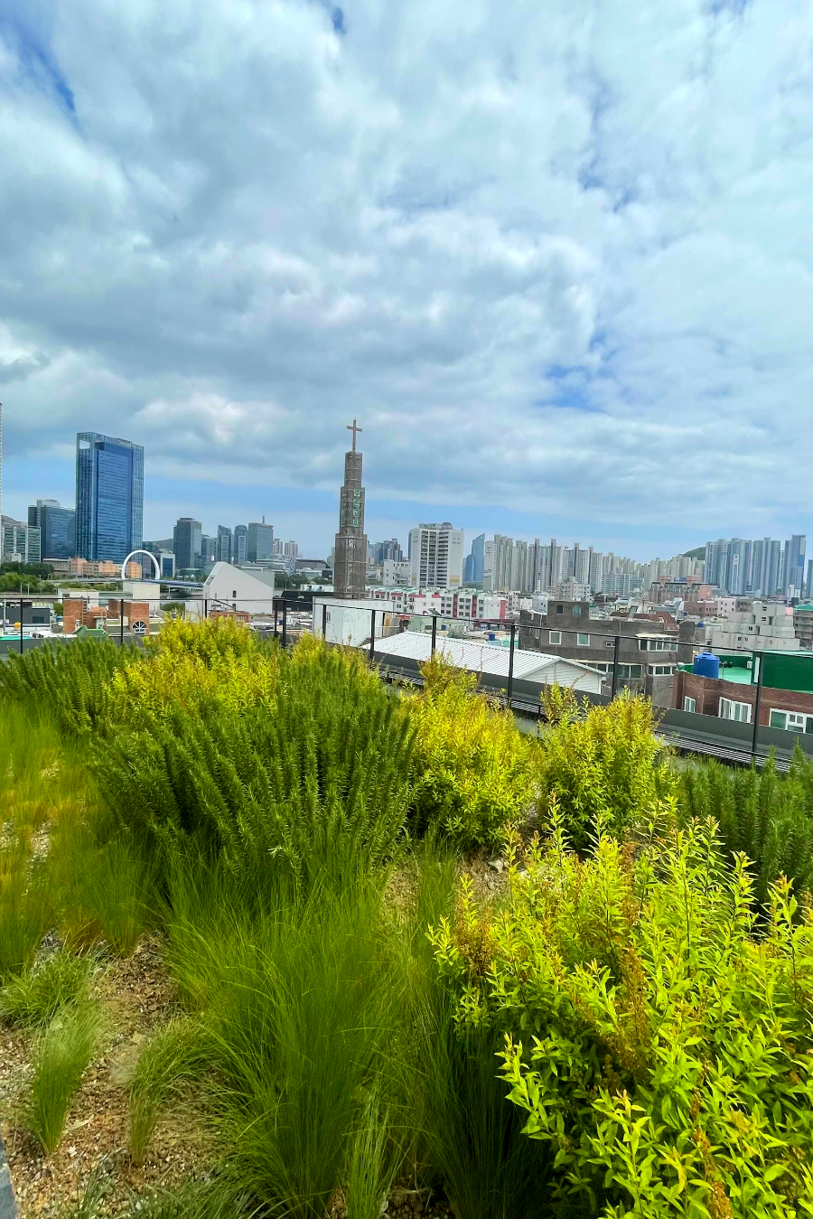 마이클 어반 팜테이블에서 본 부산풍경