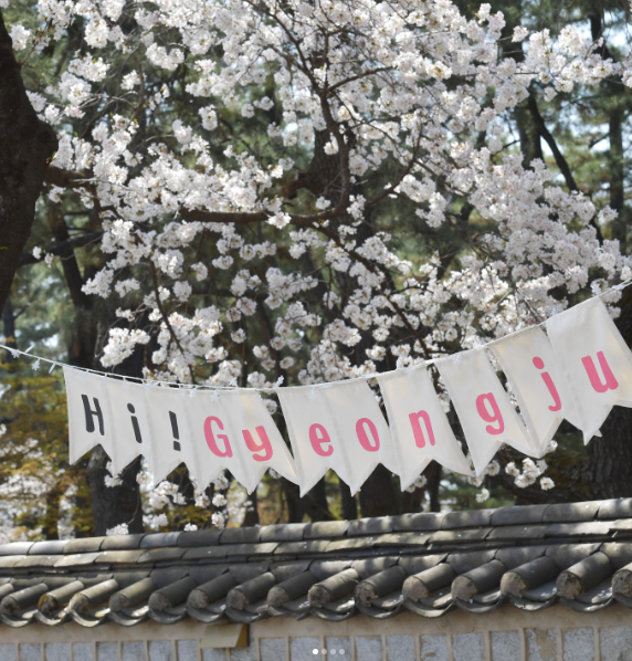 2024 벚꽃개화시기