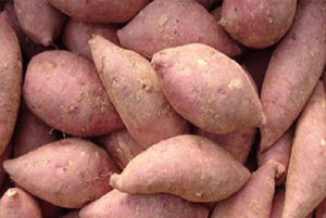 대장에 좋은 음식08