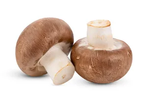 간암에-좋은-음식