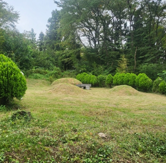 명절 벌초 방법