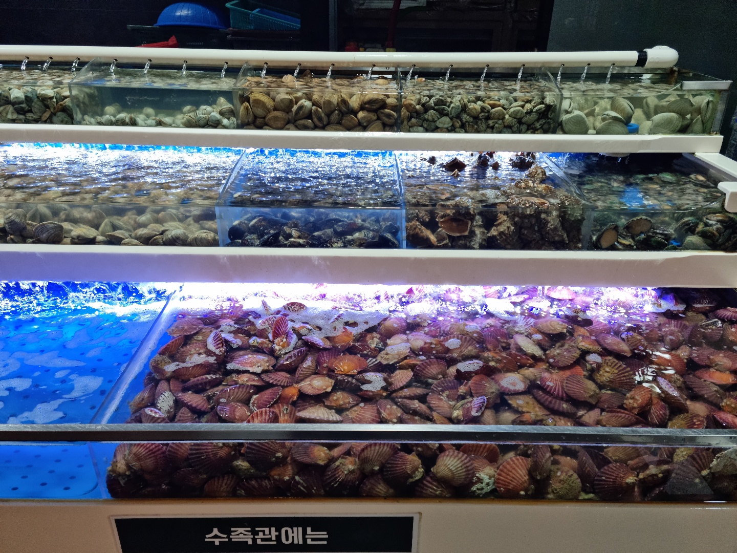천안조개창고-조개모듬
